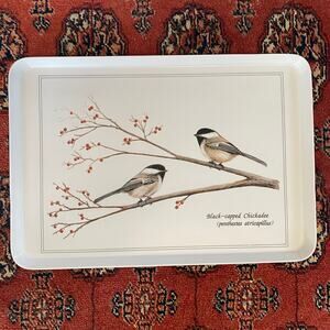 NASHCO Meplus Chickadee Tray 17-1/2” x‎ 12” EXCELLENT CONDITION!
